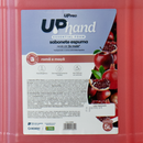 Sabonete De Espuma Romã e Maçã 5L - Up Pro Nobre