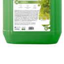 Sabonete De Espuma Erva Doce 5L - Up Pro Nobre