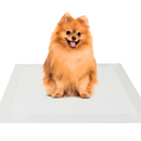 Tapete Higiênico Para Cães 60x80cm 60un - Smiles Goods